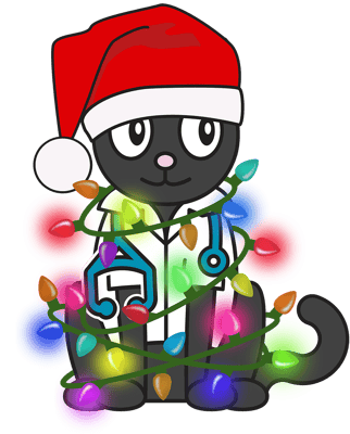 Holiday-Christmas Kat