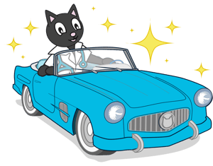 Trial Campaign-Car Test Drive Kat Sparkles