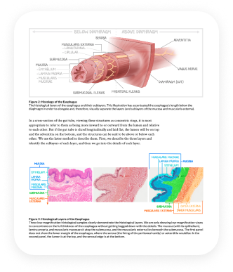 home-notes-img